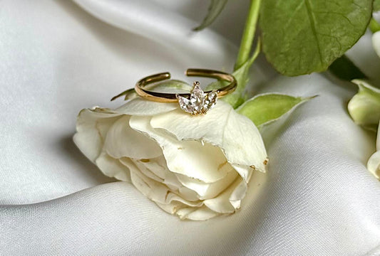 Anillo Amélisse
